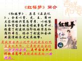 语文版高中  语文必修三 3-11*《宝黛初会》新课讲知课件3
