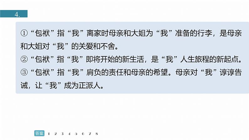 复习任务群二  任务一 专题练案　自传类成长小说--2025语文步步高大二轮专题复习课件第5页