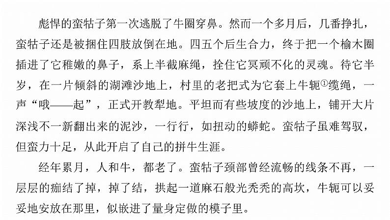 复习任务群三   任务二 学案10　分析散文意蕴和文段作用--2025语文步步高大二轮专题复习课件第6页