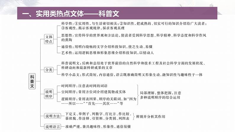 复习任务群一   任务一 学案1　一文多练，解答传统题目 --2025语文步步高大二轮专题复习课件第2页