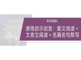 训练任务群八  考点练案9　感悟启示启发：散文阅读＋文言文阅读＋名篇名句默写--2025年高考语文大二轮专题复习课件+教案+学案