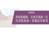 训练任务群九  主题练案5　苏轼的超脱：文言文阅读＋古代诗歌阅读＋名篇名句默写--2025年高考语文大二轮专题复习课件+教案+学案