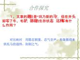 语文版 高中语文必修二 3-12*《巩乃斯的马》名师课件2