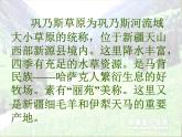 语文版 高中语文必修二 3-12*《巩乃斯的马》参考课件2