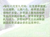 语文版 高中语文必修二 3-12*《巩乃斯的马》参考课件2