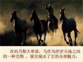 语文版 高中语文必修二 3-12*《巩乃斯的马》名师课件1