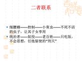 语文版 高中语文必修五 3-9*《春末闲谈》课件