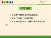 语文版 高中语文必修五 3-11*《古瓷器》课件