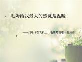 语文版 高中语文必修五 3-11*《古瓷器》课件