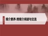 第四單元　課時(shí)三　辨識(shí)媒介信息-2024-2025學(xué)年高中語文下冊(cè)教學(xué)課件（部編版必修下冊(cè)）