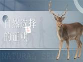 部编版2025高中语文选择性必修下册自然选择的证明课件 课件