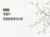 考点01 词语的使用和分析-2025年高考语文一轮复习语言文字运用系列课件