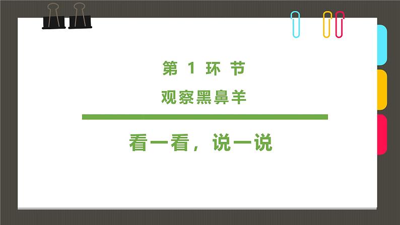 316、《3-6岁可爱的黑鼻羊》+课件第3页