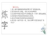 2025届高考语文复习之古诗词语言鉴赏学案课件PPT