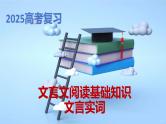 新高考语文一轮复习 文言文阅读基础知识之文言实词专题讲与练课件PPT