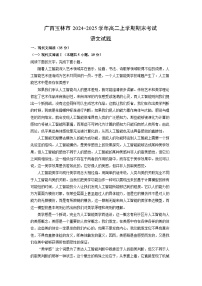 2024-2025学年广西玉林市高二上学期期末考试语文试卷（解析版）