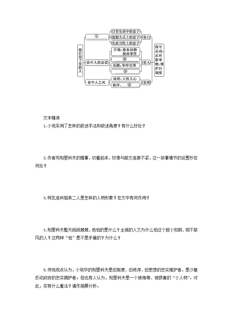 13.2《装在套子里的人》（学案）-高中语文统编版必修下册第2页