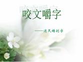 高中语文 人教版 (新课标) 选修《语言文字应用》第三课第四节《咬文嚼字——消灭错别字》名师课件