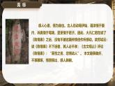 9.1《陳情表》課件-2024-2025學年高二語文同步備課精選課件（統(tǒng)編版選擇性必修下冊）