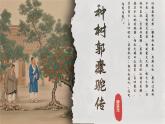 11《種樹郭橐駝傳》課件-2024-2025學年高二語文同步備課精選課件（統(tǒng)編版選擇性必修下冊）