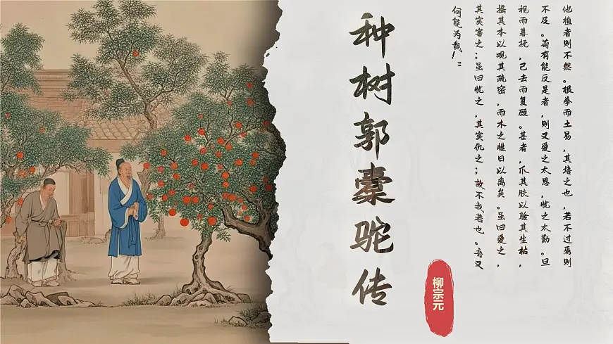 11《种树郭橐驼传》课件-2024-2025学年高二语文同步备课精选课件（统编版选择性必修下册）第1页