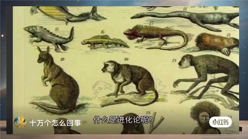 13.1《自然选择的证明》课件-2024-2025学年高二语文同步备课精选课件（统编版选择性必修下册）第2页