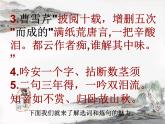 高中语文 人教版 (新课标) 选修《语言文字应用》第六课第一节《语不惊人死不休——选词和炼句》名师课件