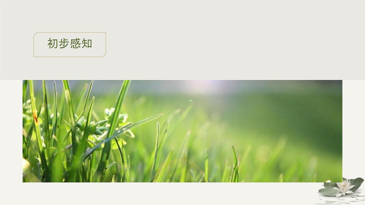 高中语文必修下册《谏太宗十思疏》教学课件第4页