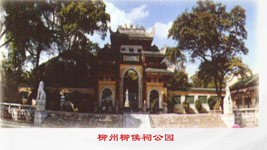 统编版高中语文选择性必修下册课件《种树郭橐驼传》第6页