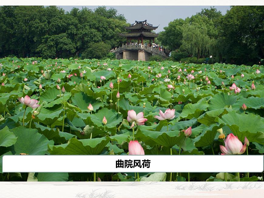 统编版高中语文选择性必修下册教学课件《望海潮》第4页