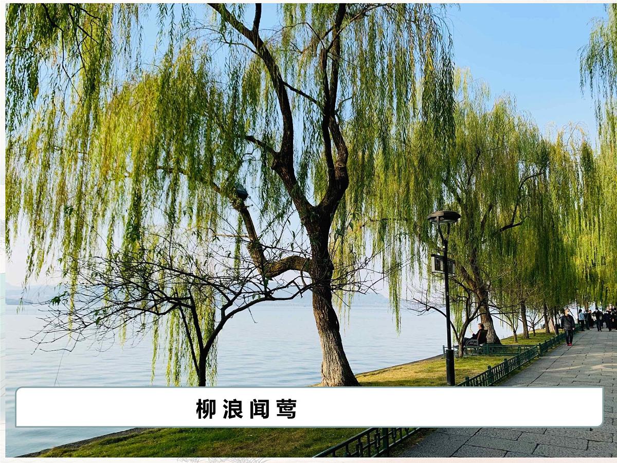 统编版高中语文选择性必修下册教学课件《望海潮》第7页