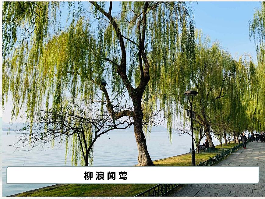 统编版高中语文选择性必修下册教学课件《望海潮》第7页