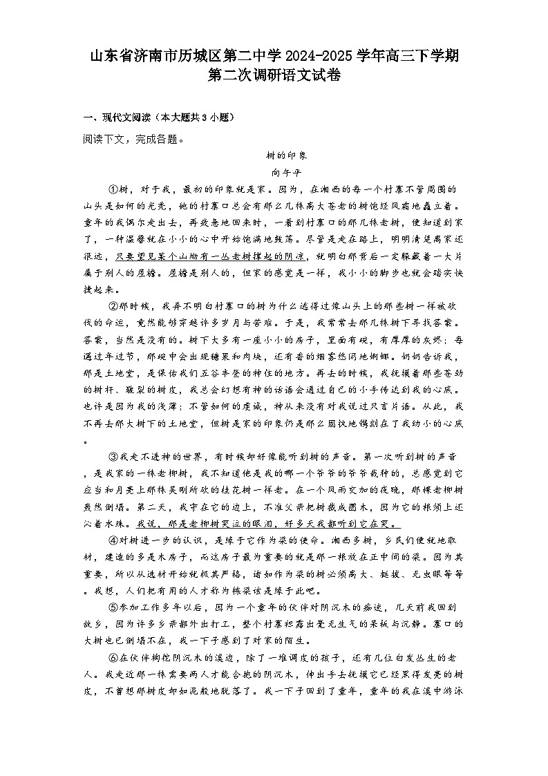山东省济南市历城区第二中学2024-2025学年高三下学期第二次调研语文试卷第1页