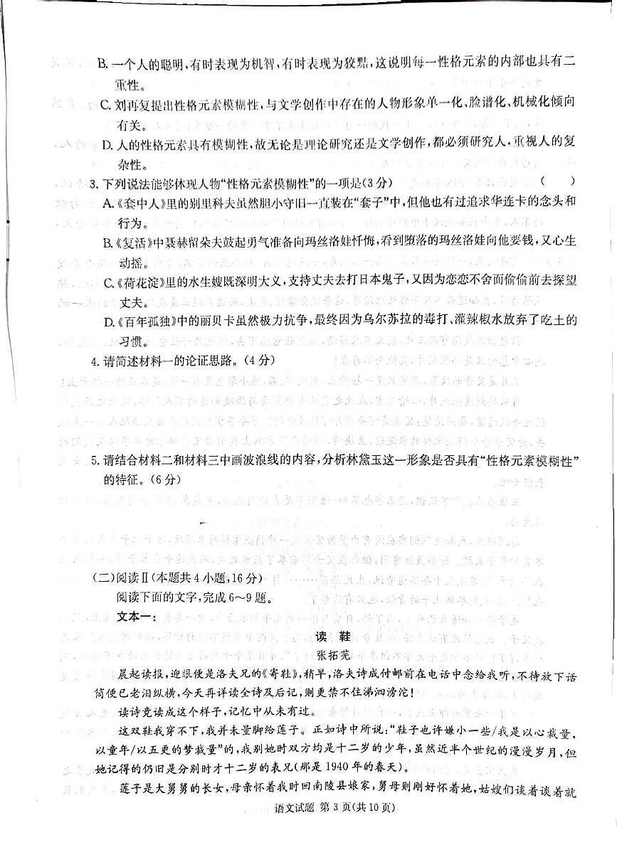 湖南省郴州市2025届高三下学期3月三模语文试卷（PDF版附解析）第3页