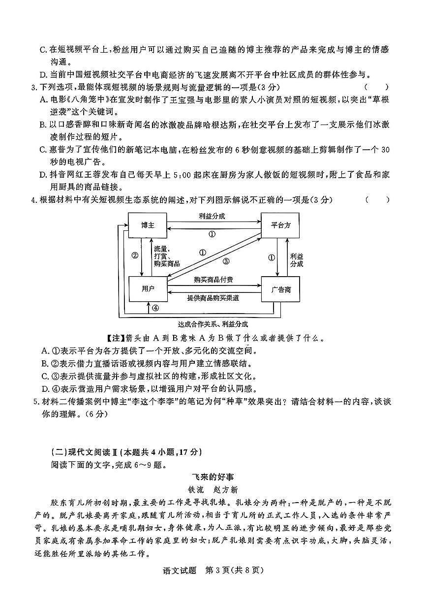 2024届河南省青桐鸣高三5月大联考-语文试卷（含答案）第3页