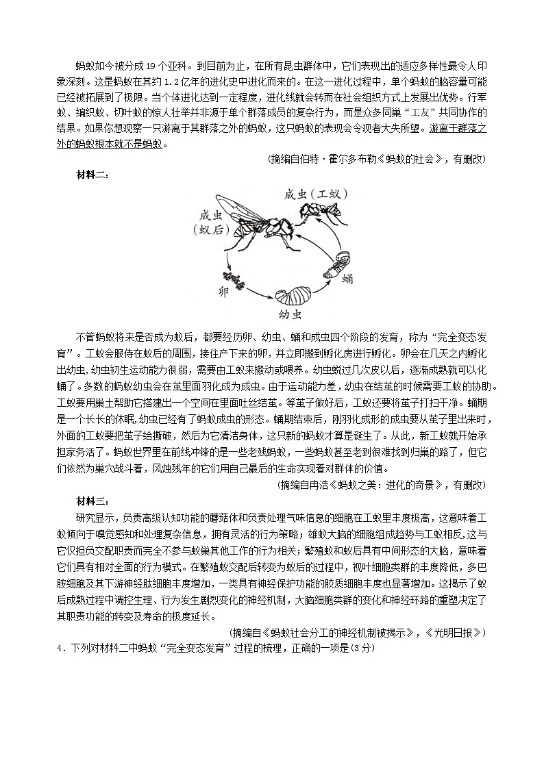 四川省绵阳市2024届高三语文考前模拟预测试题含解析第3页