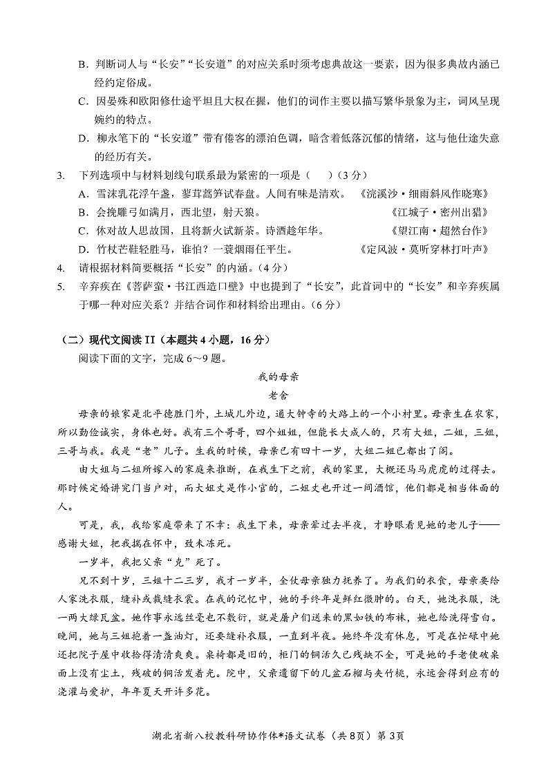 2025湖北省新八校协作体高三2月联考语文试卷（含答案）第3页