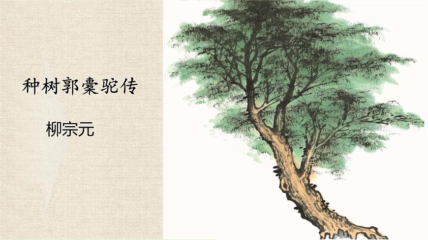 统编版高中语文选择性必修下册11.种树郭橐驼传课件第1页