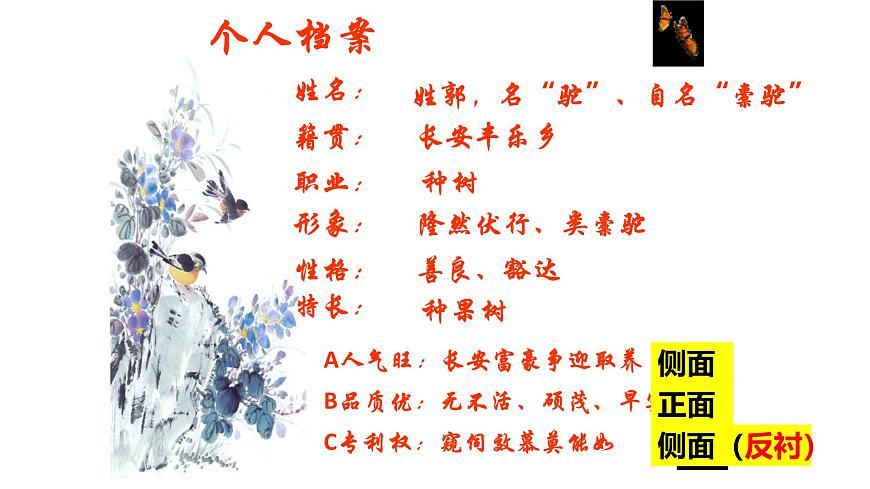 统编版高中语文选择性必修下册11.种树郭橐驼传课件第4页