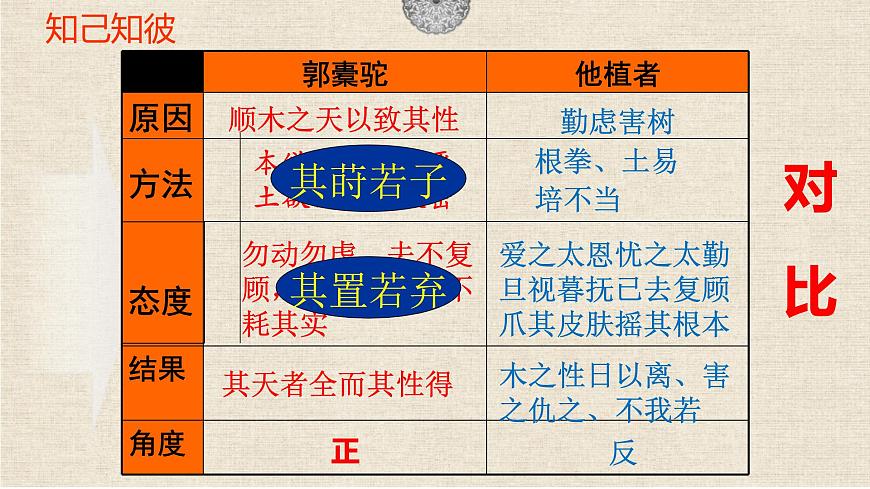 统编版高中语文选择性必修下册11.种树郭橐驼传课件第7页