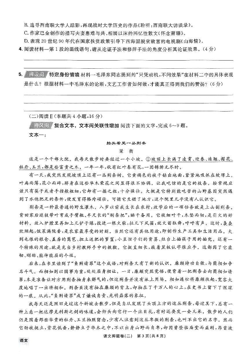 （新高考）2025年高考模拟必刷卷押题卷语文试卷二+答案第3页