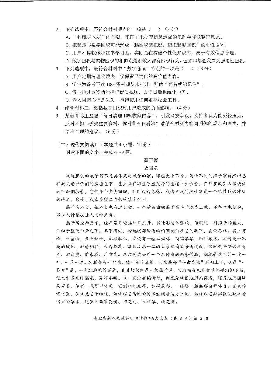 湖北省新八校协作体2025届高三下学期5月联考-语文试卷第3页