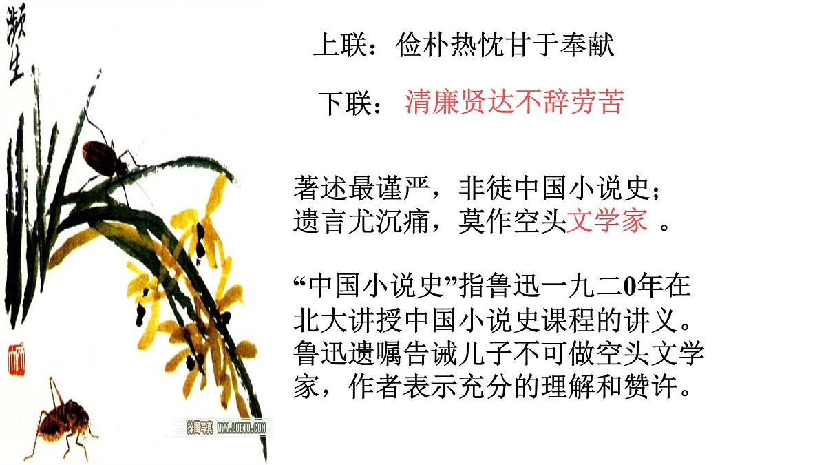 高中语文统编版选择性必修中册6-1《记念刘和珍君》课件第3页