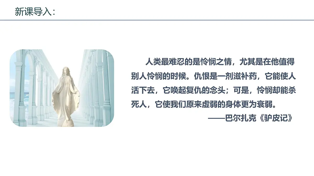 高中语文统编版选择性必修中册4-2《怜悯是人的天性》课件第3页