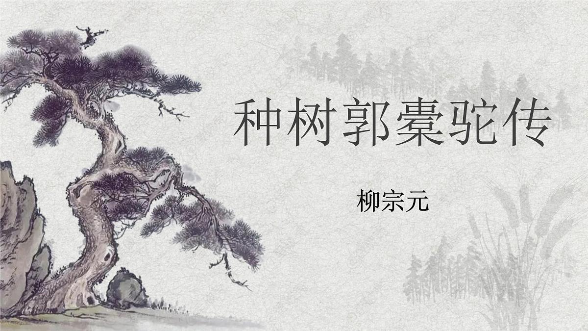 高中语文统编版选择性必修下册第11-1课《种树郭橐驼传》课件第2页