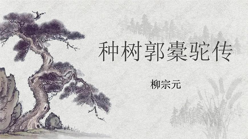 高中语文统编版选择性必修下册第11-1课《种树郭橐驼传》课件第2页