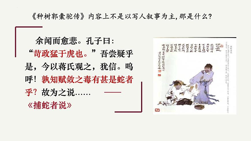 高中语文统编版选择性必修下册11-1《种树郭橐驼传》大单元同步课件第6页