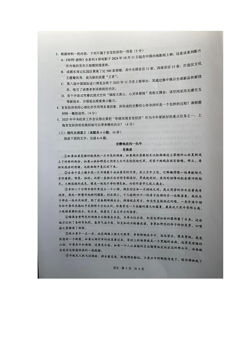 2025届安徽省马鞍山市高三二模语文试题（高考模拟）第3页