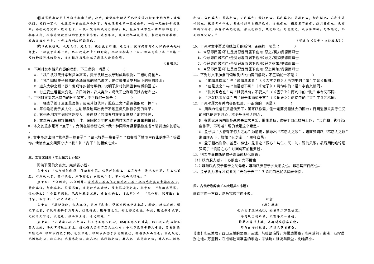 2025届广东省广州市花都市高三下学期模拟练习语文试题（二）（高考模拟）第3页