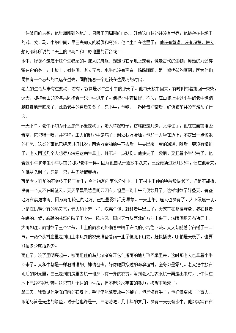 2025届河南省漯河市临颖县高三三模语文试卷（高考模拟）第2页